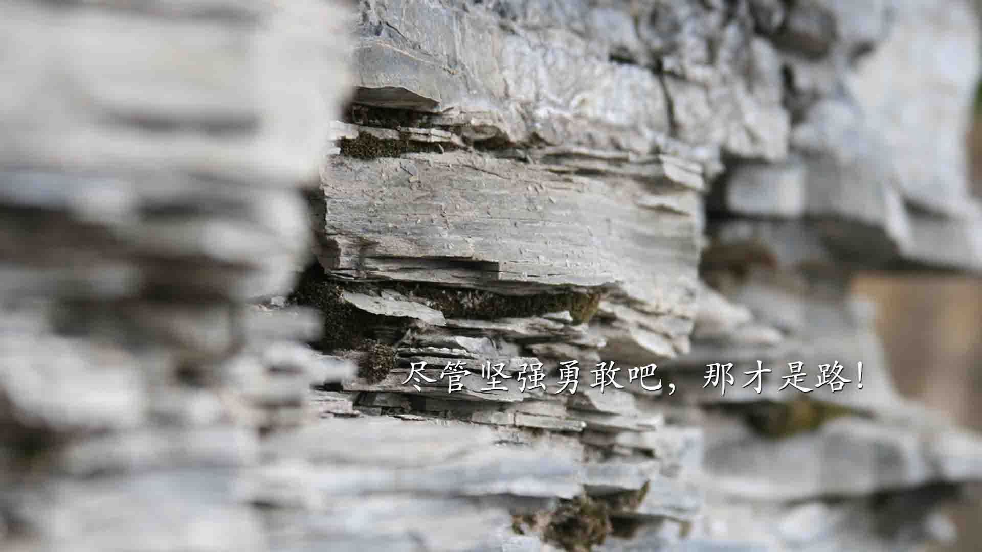 掩护战术节奏训练是否应成为常规体系核心，战术掩护推进