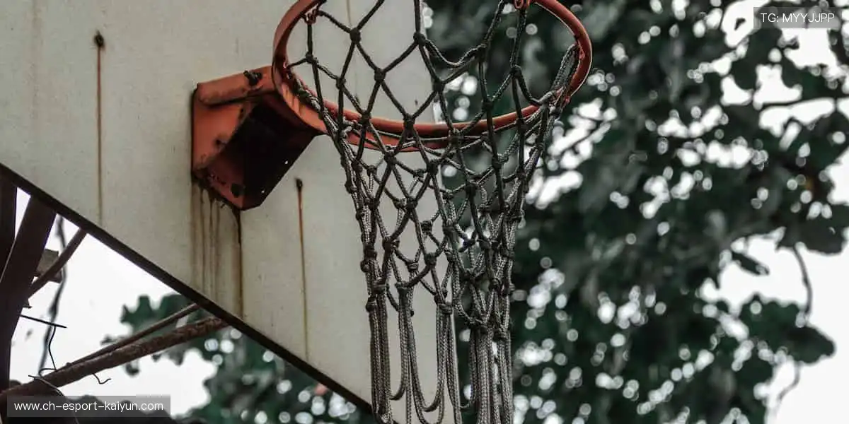 🏀实时数据加持，解读比赛新视角！